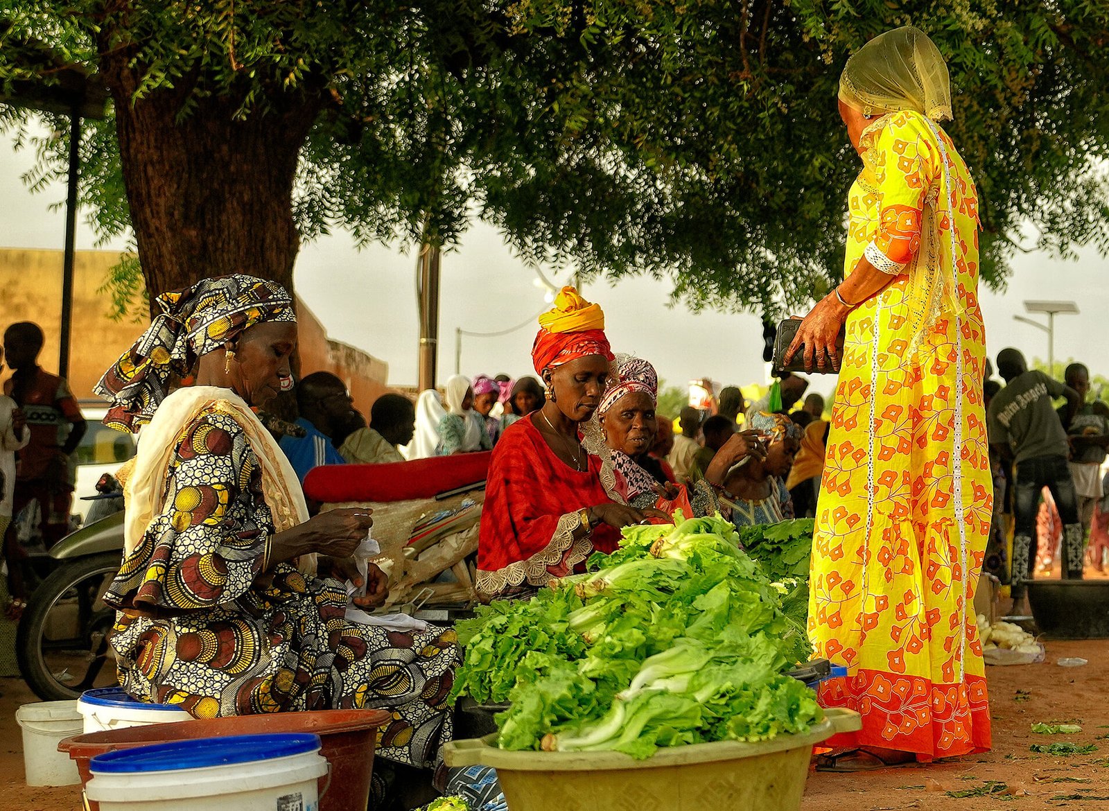llustration of the linguistic and dialectal diversity in Africa.