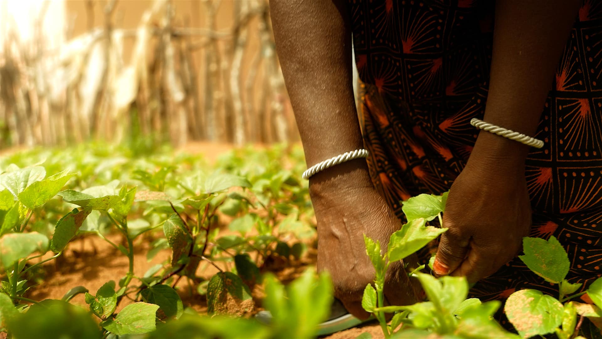 video capsule, filming, poverty eradication, community projects, social impact, NGO, Andado
