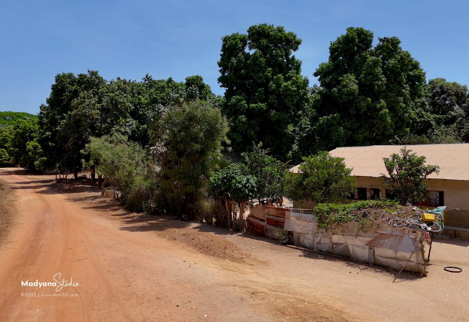 Aerial view of the village of Casamance in Ziguinchor, Senegal, showing the local architecture and vegetation.